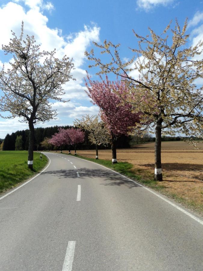 The Fennef Lägenhet Bourglinster Exteriör bild